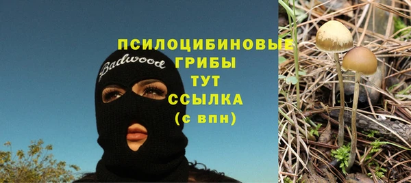 эйфоретик Баксан