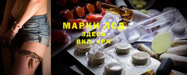 эйфоретик Баксан