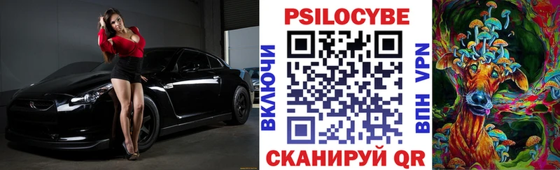 Галлюциногенные грибы Magic Shrooms  где продают   MEGA ССЫЛКА  Курчалой 