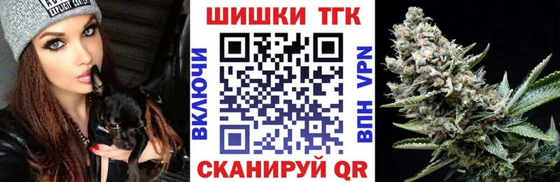 как найти   Курчалой  Конопля Bruce Banner 